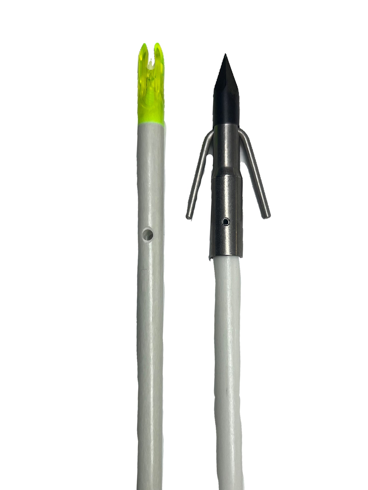 Muzzy Carp Point Complete Arrow - Force Feed'em Bowfishing