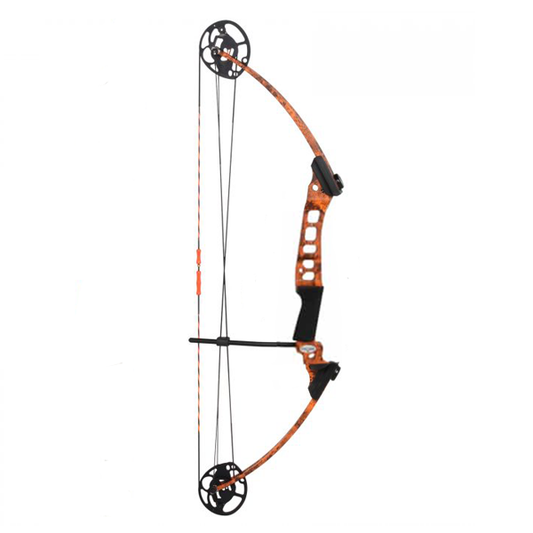 The AMS Hooligan Bow - Force Feed'em Bowfishing